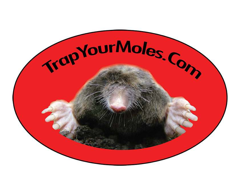 Avatar for Trap Your Moles.Com